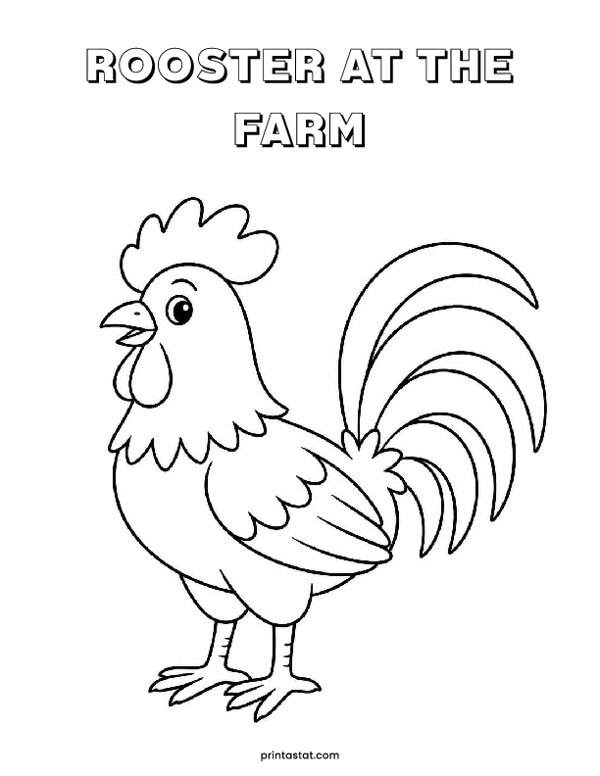11 Rooster At The Farm