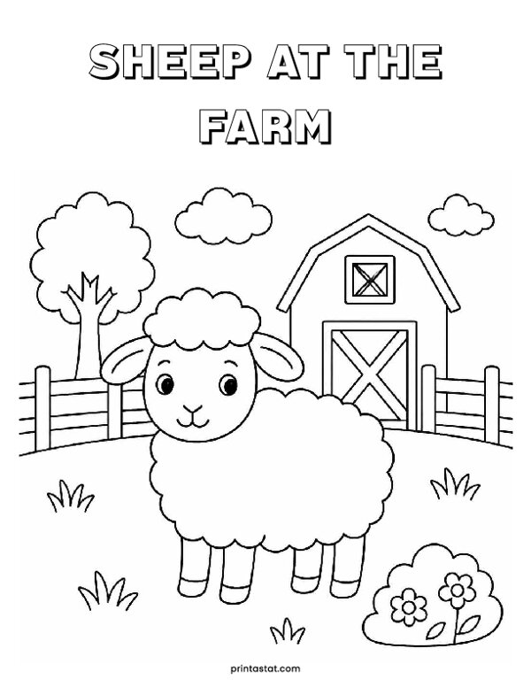 12 Sheep At The Farm