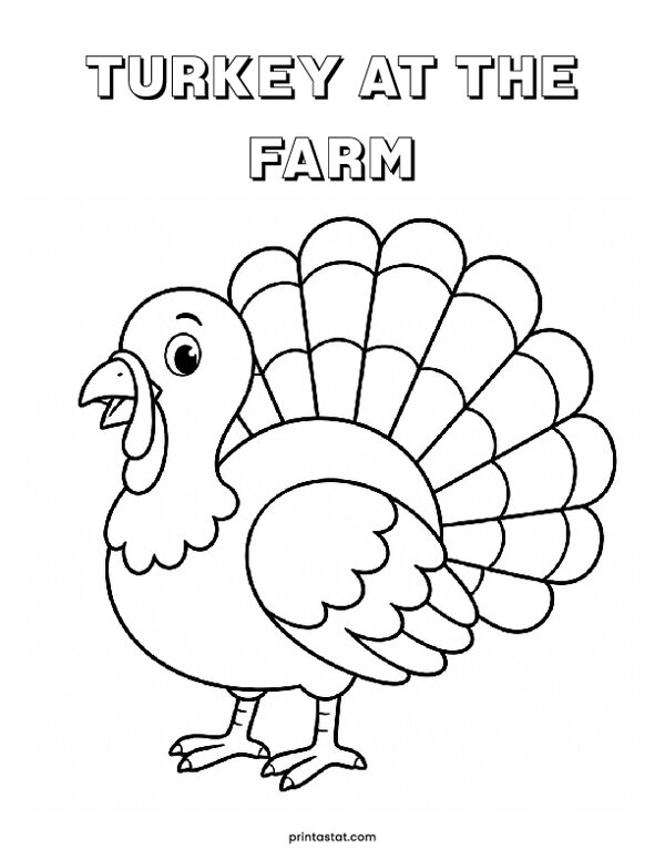 13 Turkey At The Farm