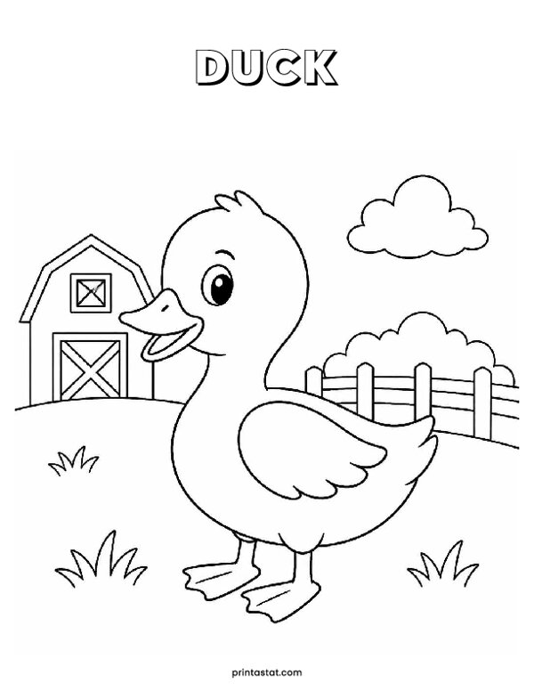 4 Duck At The Farm