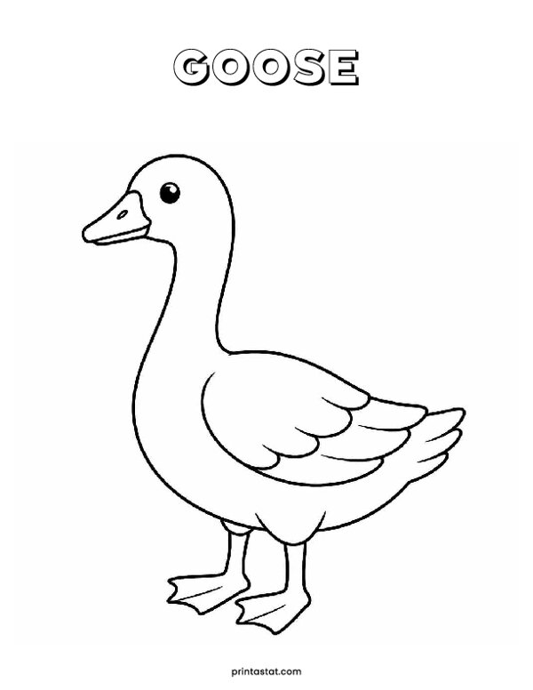 8 Goose At The Farm